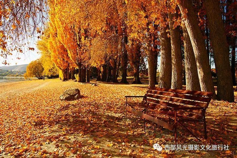 在大连沙河口区隔离做四次核酸检测回朝阳县还用隔离吗？游戏画面